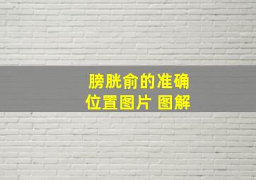 膀胱俞的准确位置图片 图解